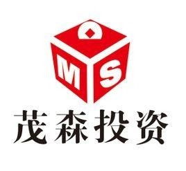 南昌茂森投資管理 專業(yè)投資管理服務的優(yōu)勢與前景